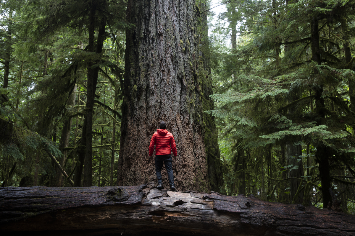 Scene from Port Alberni, Vancouver Island